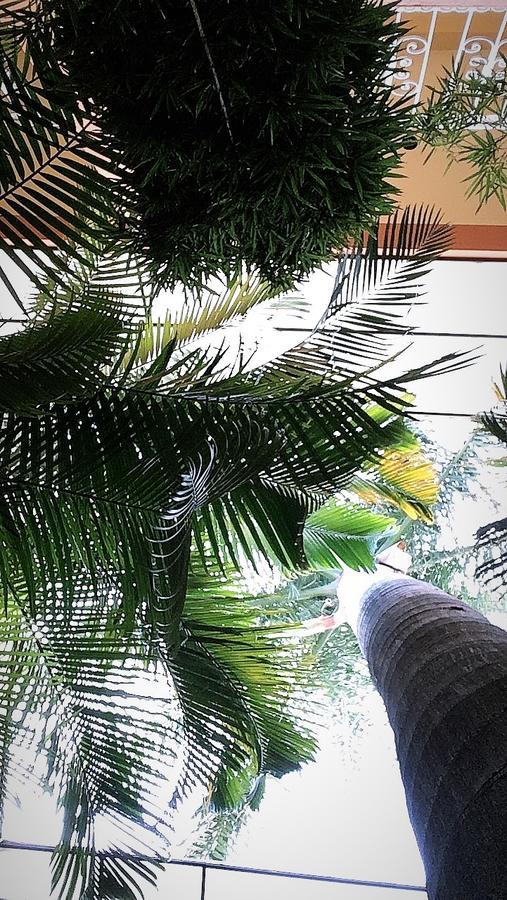 Hotel Tierra Del Sol Oaxaca Eksteriør bilde